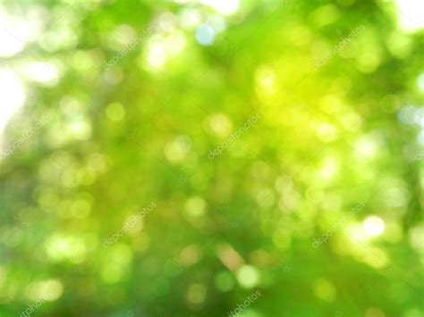 Blurred green nature background — Stock Photo © Oliay #85334258