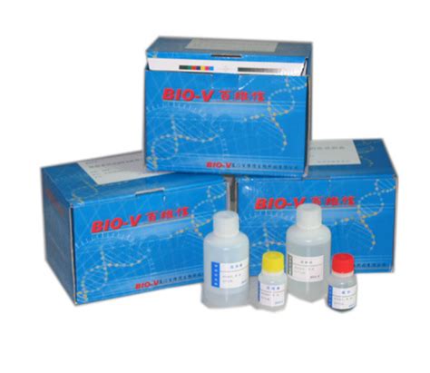 DNA Extraction Kit - China magnetic beads and DNA Extraction kit