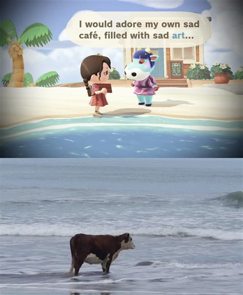 poor Naomi : r/AnimalCrossing