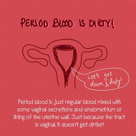 Menstruation Myths & Facts - Fuzia