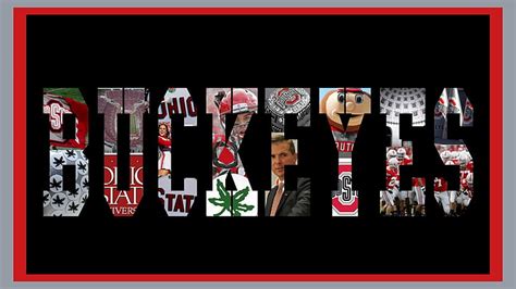 2736x1824px | free download | HD wallpaper: buckeyes, college, football ...