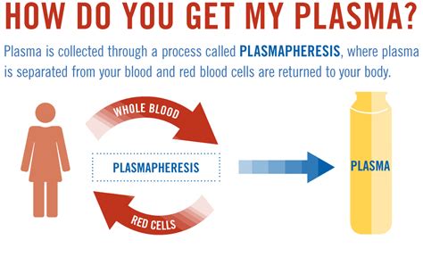 how much do you get for donating plasma in colorado springs - Laronda ...