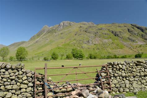 Langdale Pikes Above Great Langdale, Lake District Stock Image - Image of leisure, blue: 135394775