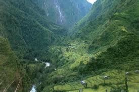 forest in Nepal: Introduction of Nepali forest