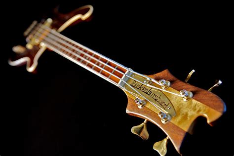 Lemmy Kilmister - Rickenbacker Bass Guitar - Photograph by Lisa Johnson