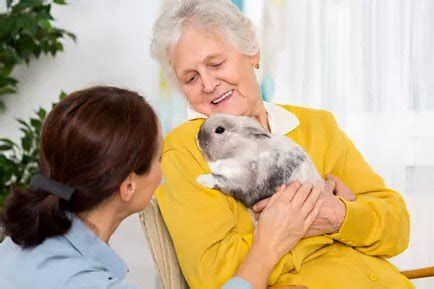 Therapy Animals