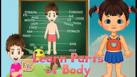 Learn Human Body parts || parts of body for kids || Human Body parts Names - YouTube
