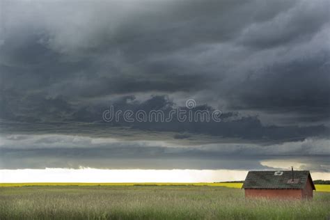 Storm Forming Over Canola Field Stock Image - Image of outdoor, crop ...