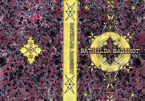 Bathilda Bagshot Book (in progress) by I-never-stop on deviantART