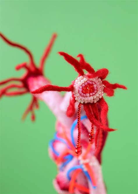 Anatomy of Kidney (腎臓標本) on Behance | Holiday decor, Funky, Christmas ornaments