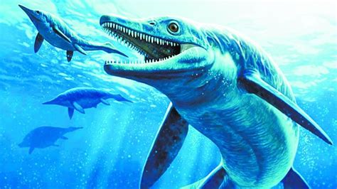 Ichthyosaurs proved warm-blooded