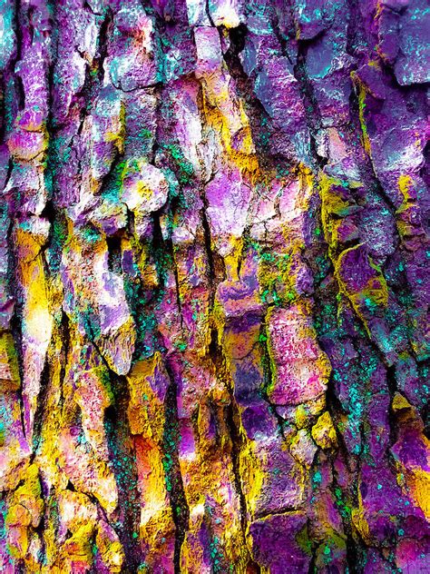 Tree trunk Digital Art by Terry Hi