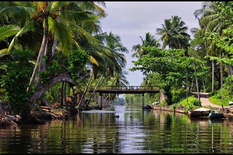 Private Tour: Negombo And Surrounding Area Attractions By Boat: Triphobo