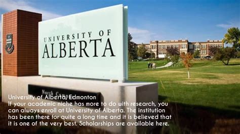 100%scholarship being offered by universities in Canada - YouTube