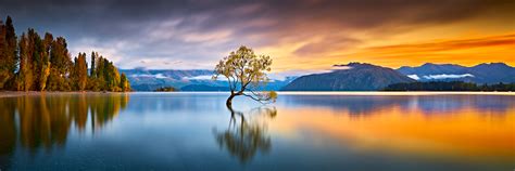 The Wanaka Tree :: Golden Hours Photos « AustralianLight - Fine Art ...