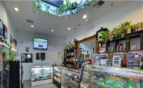 Things to Look For in a Great Los Angeles Dispensary For Marijuana – General Blog