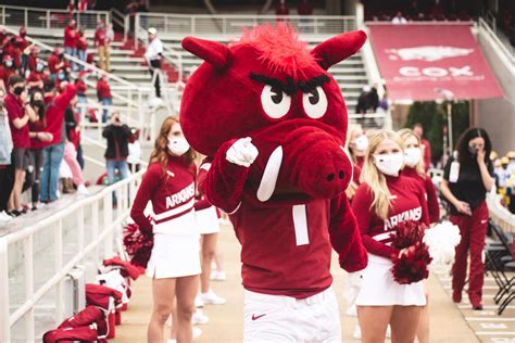 Razorback Mascot Team Selected for ’21-’22 Season | Arkansas Razorbacks