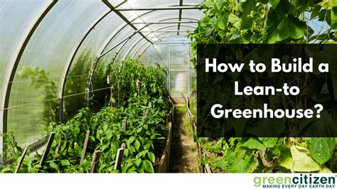 How to Build a Lean-to Greenhouse? - GreenCitizen