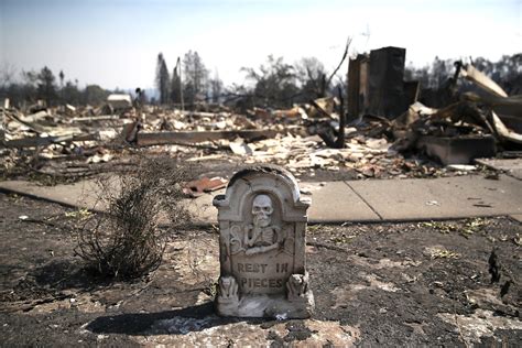 Life goes on in Santa Rosa, devastated by fire | 89.3 KPCC