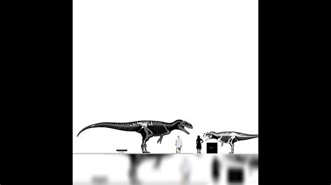 Siats And Ceratosaurus Size Comparison - YouTube