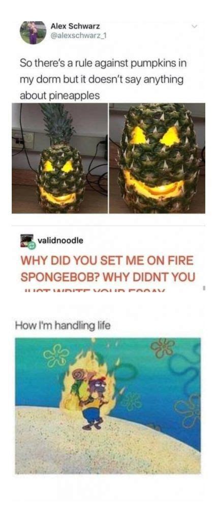 20+Spongebob memes fire | Spongebob funny, Funny spongebob memes ...