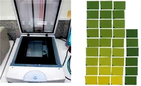 Microtek scanner (left) and calibration films images (right ...