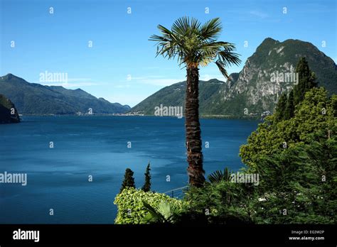 Lugano lake, Switzerland Stock Photo - Alamy