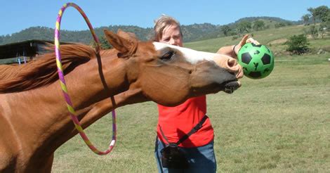 Help! The neighbors think I’m crazy! | Horse Tricks 101