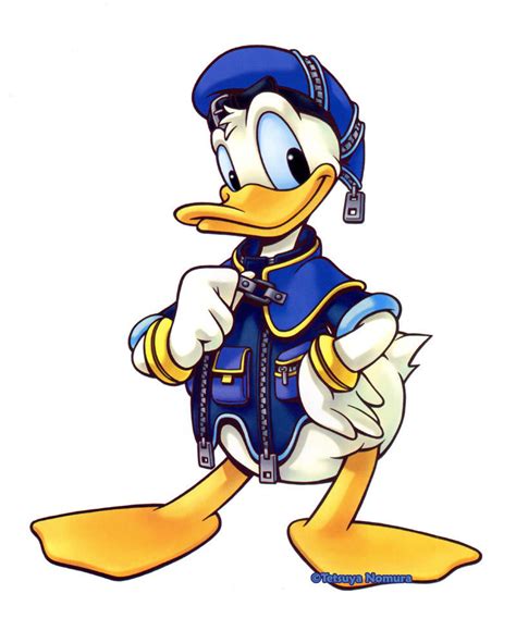 Donald Duck - Donald Duck Photo (14818336) - Fanpop