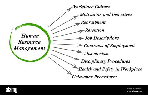 Diagram of Human Resource Management Stock Photo - Alamy