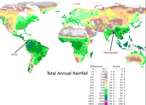 World Precipitation Map