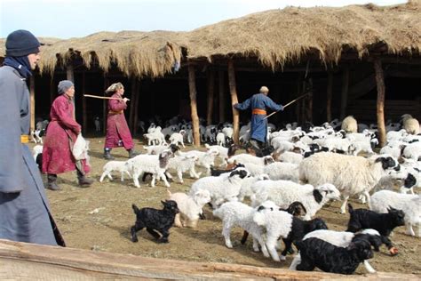 Mongolian Nomads - Lifestyle and Mongolian Nomadic Cultures