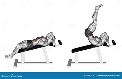 Exercising. Decline Reverse Crunch Stock Illustration - Image: 66802781