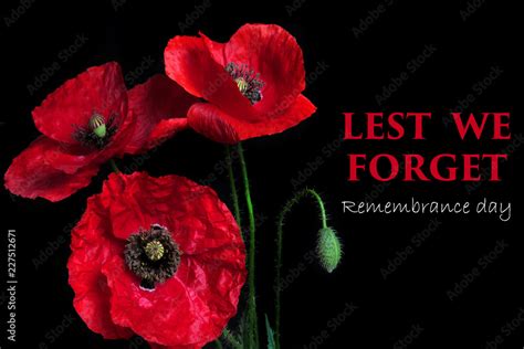 Remembrance Day greeting card. Beautiful red poppy flower on black background with lettering ...