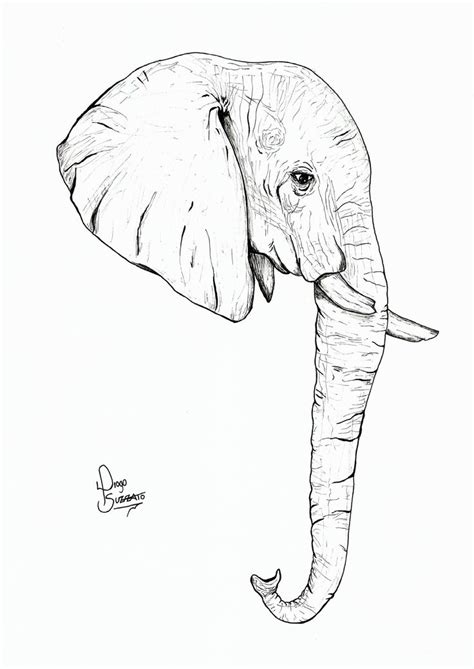 The 25+ best Elephant head drawing ideas on Pinterest | Owl drawing ...