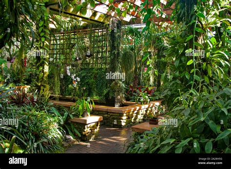 Atlanta Botanical Garden, Atlanta, Georgia Stock Photo - Alamy