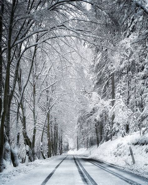 🇩🇪 Road through a snowy Thuringian forest (Germany) by ...