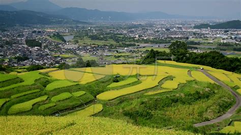 4K农村田园稻田风光_3840X2160_高清视频素材下载(编号:1618074)_实拍视频_VJ师网 www.vjshi.com