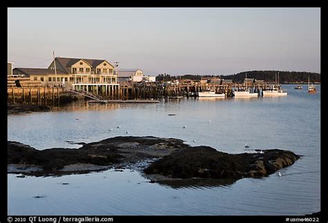 Picture/Photo: Harbor, late afternoon. Stonington, Maine, USA