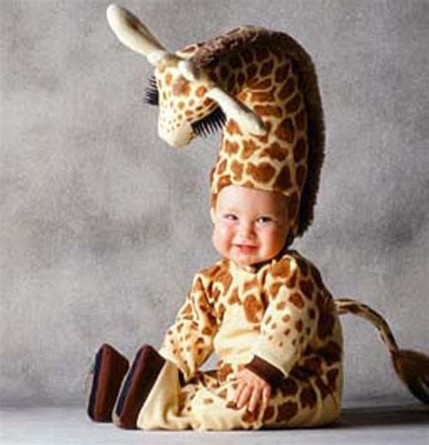 Babies in Baby Animal Costumes: Cute Meltdown - Baby Animal Zoo