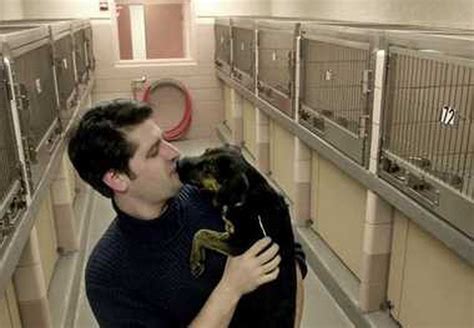 Cuyahoga County Animal Shelter gets new director, scathing audit ...