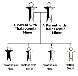 Disease & Treatment « Thalassemia