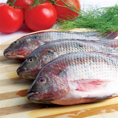 Buy Tilapia Fish Whole Online Best Prices Delhi Gurgaon