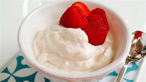 Greek Soy Yogurt Premium PD Recipe - Protective Diet