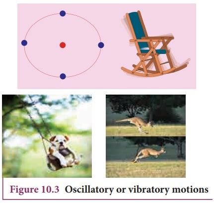 Vibrational Motion Examples