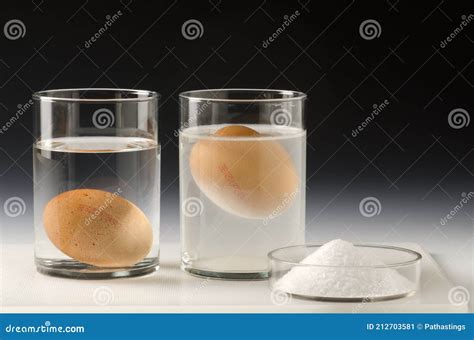 Physics. Egg Floating in Salt Water Stock Image - Image of density ...