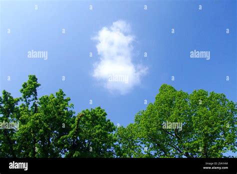 the cloud 1 Stock Photo - Alamy