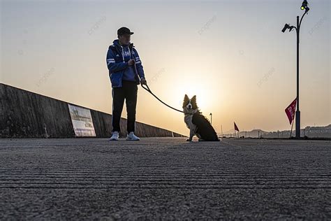 Dongtou Sunset Dog Walking Silhouette Background, Dongtou, Sunset, Walk ...