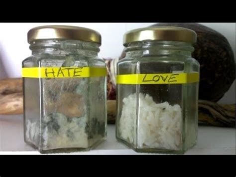 Rice consciousness experiment inspired by dr masaru emoto – Artofit