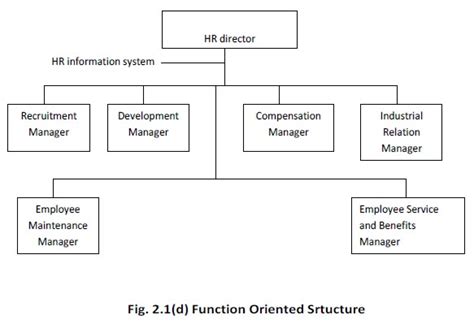 Function oriented structure for HR Department - Organization of HRM - study Material lecturing ...